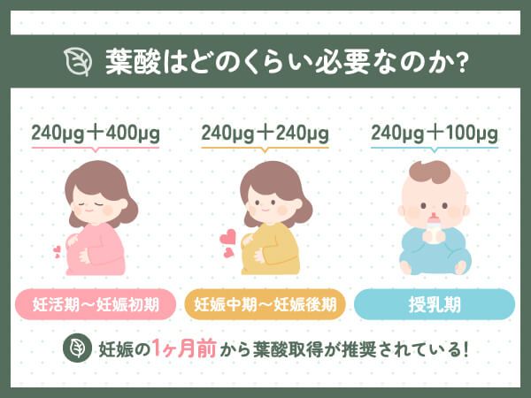 葉酸サプリおすすめ【2024年版】妊活・妊娠中・授乳期に飲みやすい商品 ...