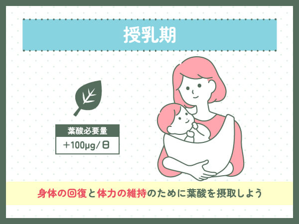 【授乳期】葉酸サプリが必要な理由・摂取量