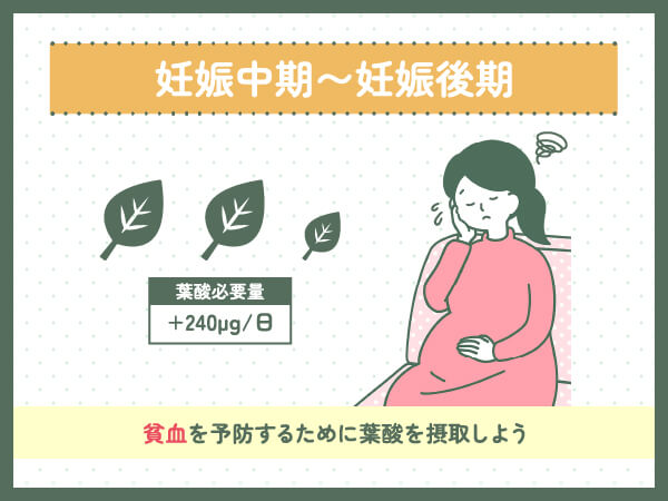 【妊娠中期〜妊娠後期】葉酸サプリが必要な理由・摂取量